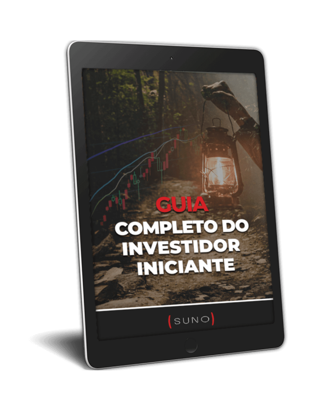 Gratuito Ebook Guia Completo Do Investidor Iniciante 5021